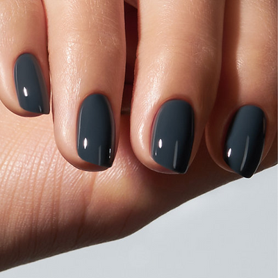 Color Gel Dolphin - American Creator