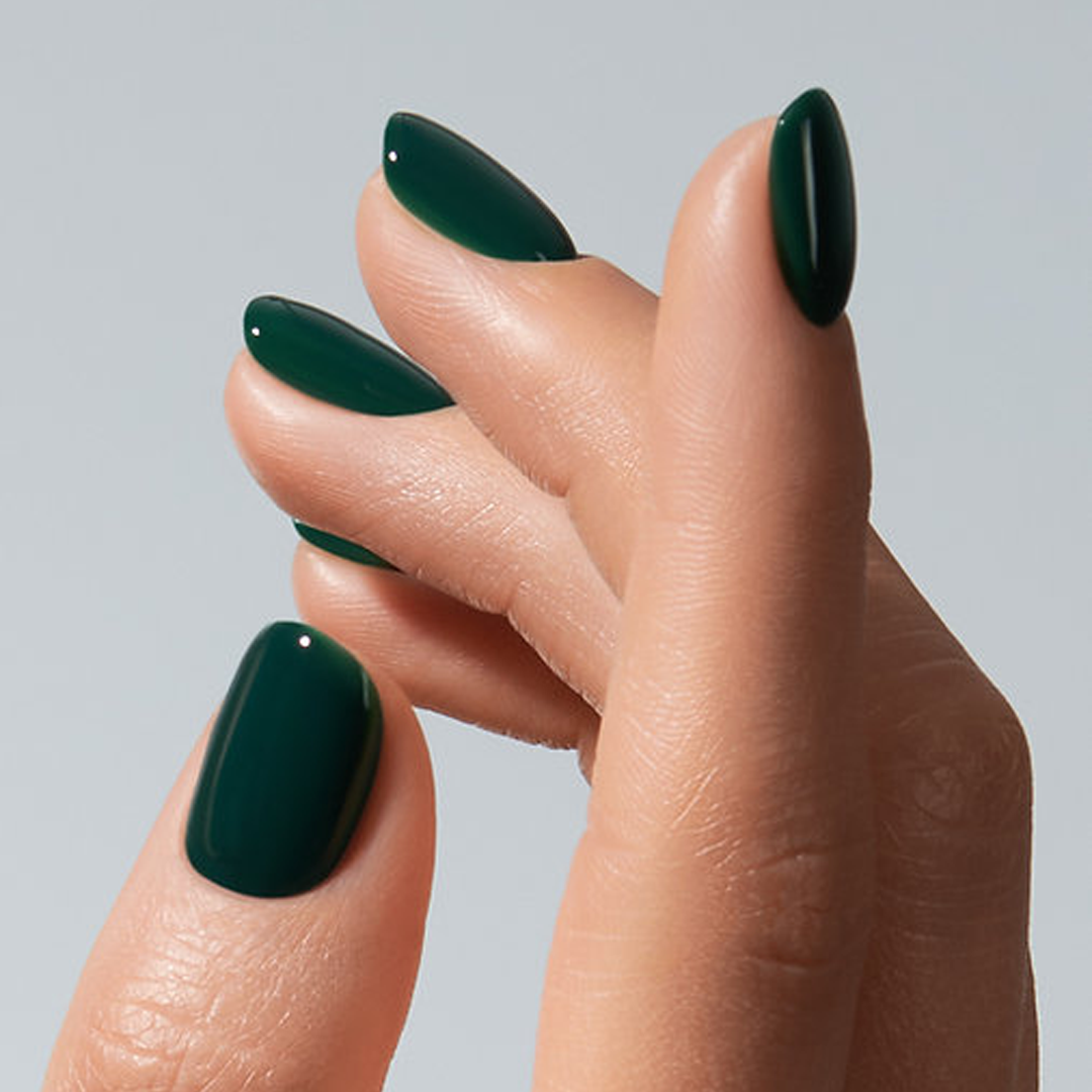 Color Gel Iguana - American Creator