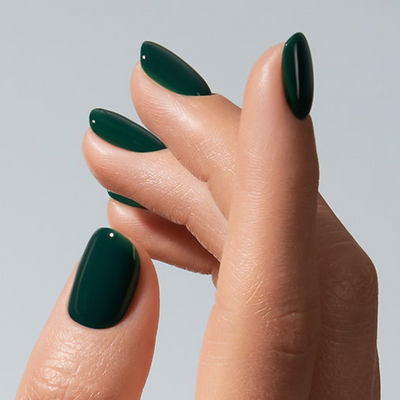 Color Gel Iguana - American Creator