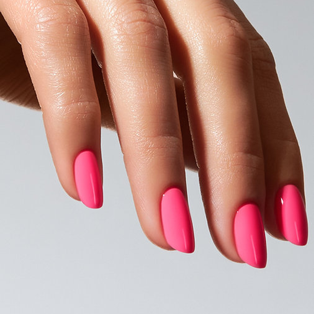 Color Gel Starfish - American Creator