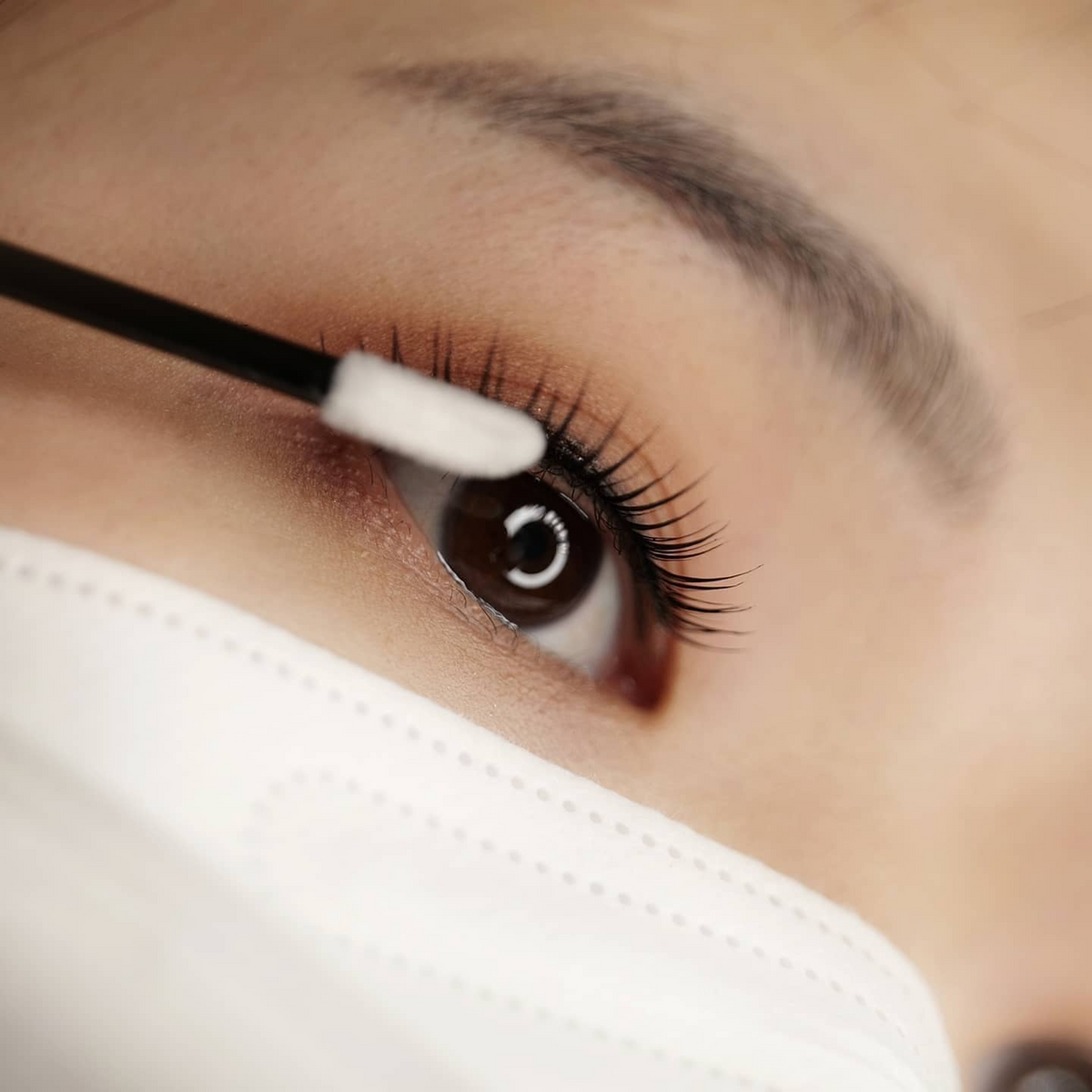 ToxTox Lash & Brow Oil — apresentação complementar do produto; SKU 53258067